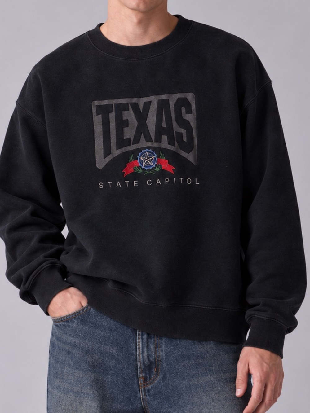 Vintage 90s Fruit of the Loom Texas State Capitol Sweatshirt XL Made USA